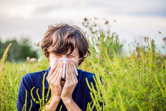 Seasonal Allergy Support (By: Dr. Emily Gale, ND)