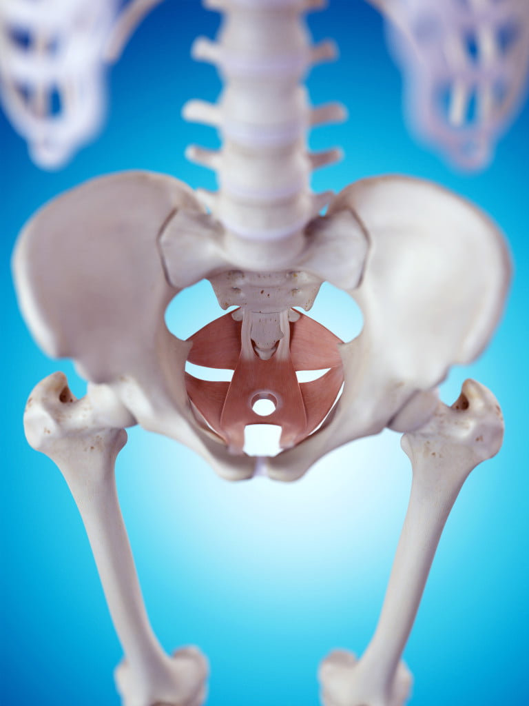 Is Pelvic Floor Physiotherapy Right for You?