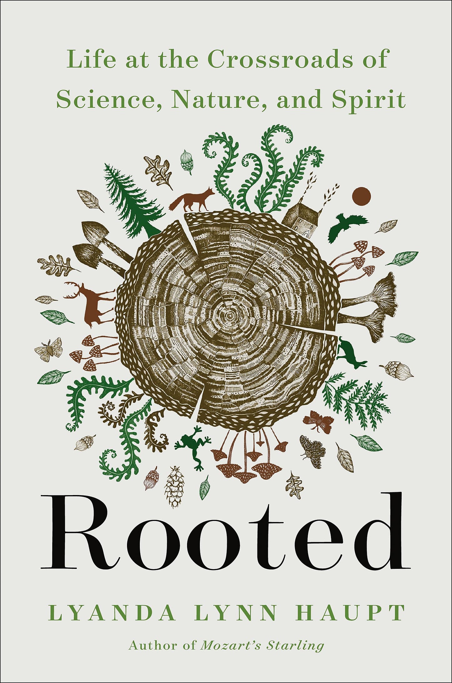 Rooted