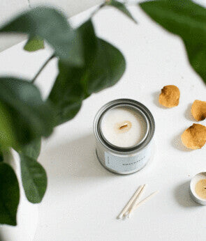 Mala The Brand Succulent Candle