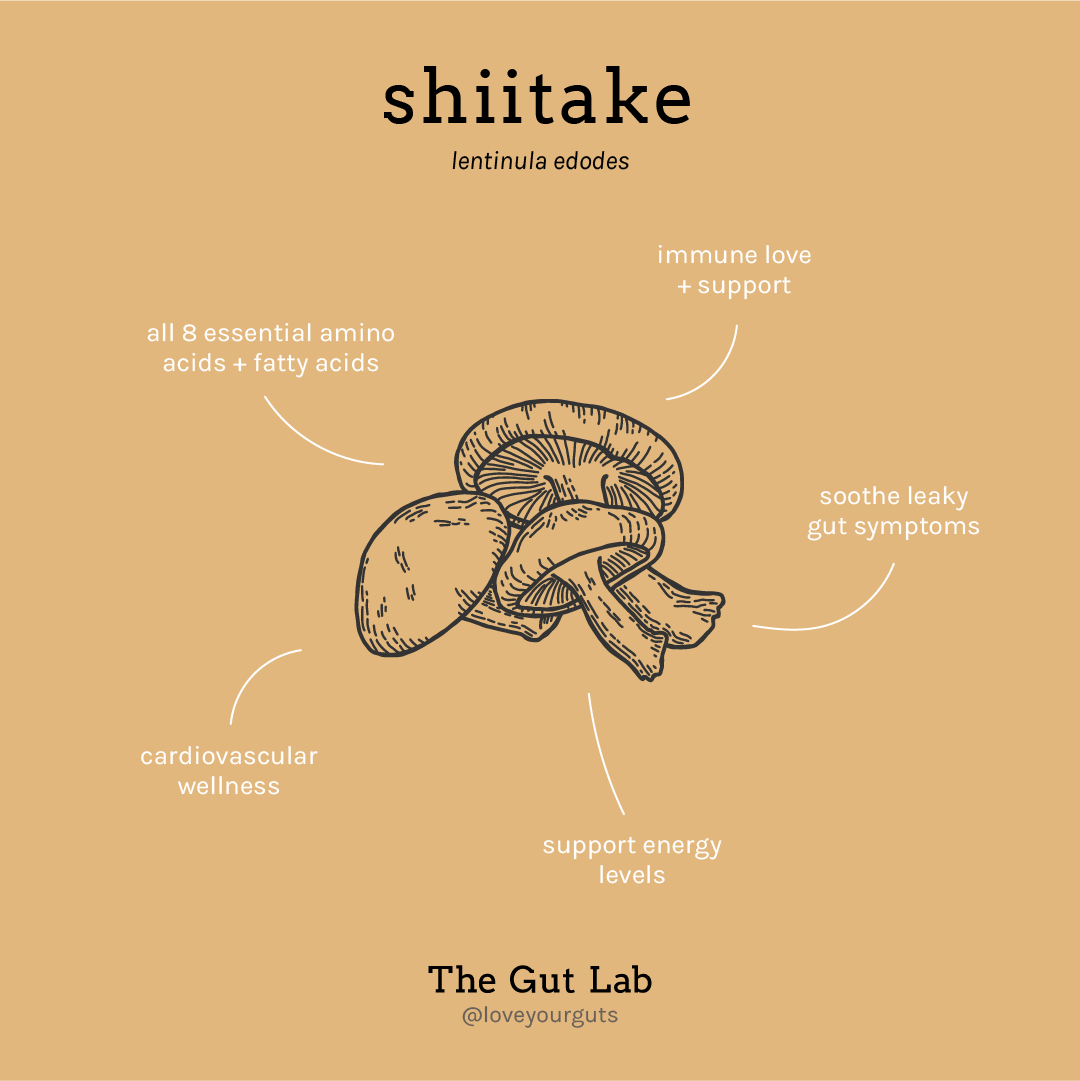 The Gut Lab Shiitake